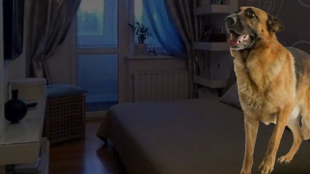 Страшилка WildCraft | Камера наблюдения | смотреть онлайн