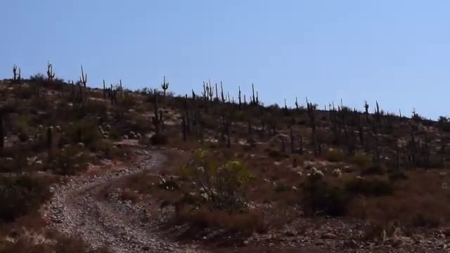 Summer in Arizona.#Phoenix #Route 66 #Flagstaff #Grand Canyon #Black Canyon #Queen Creek Olive Farm смотреть онлайн