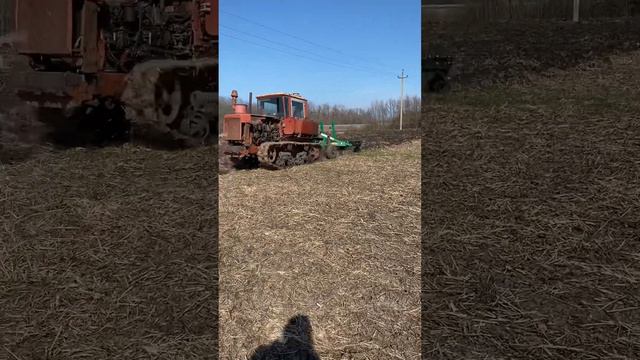 Работа ДТ-75 с чизелем | Отзыв о ГР-2н Храбр | Конец сезона! Лучше поздно, чем никогда! #храбр смотреть онлайн