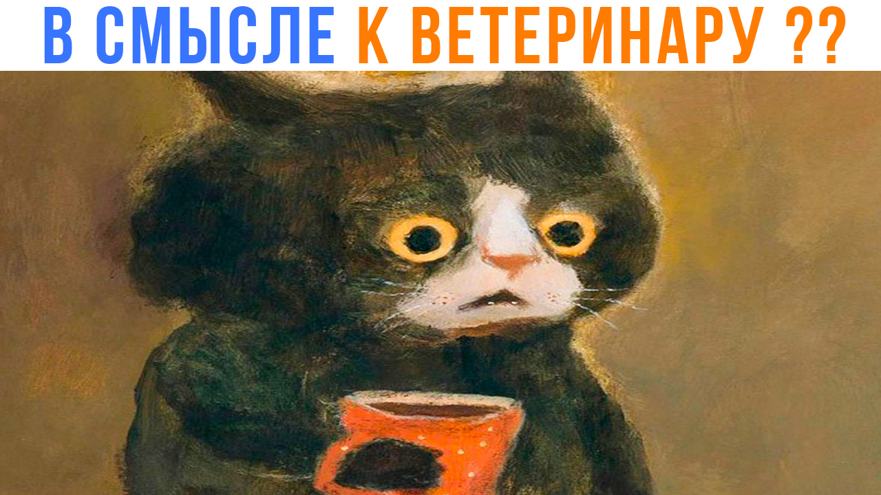 ЧОТА Я НЕ ПОНЕЛ ))) | Приколы с котами | Мемозг 1408 смотреть онлайн