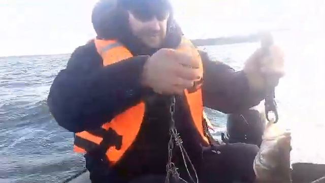 Судак на вилейском водохранилище смотреть онлайн