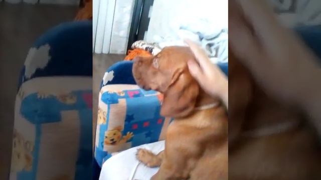 Мой первый влог