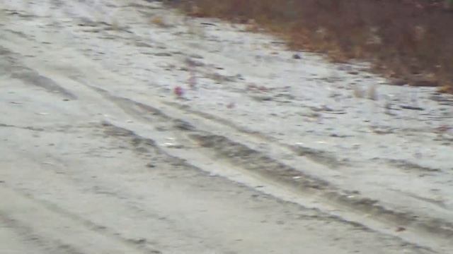 Охота на рябчика.Приготовление его в сметане. смотреть онлайн