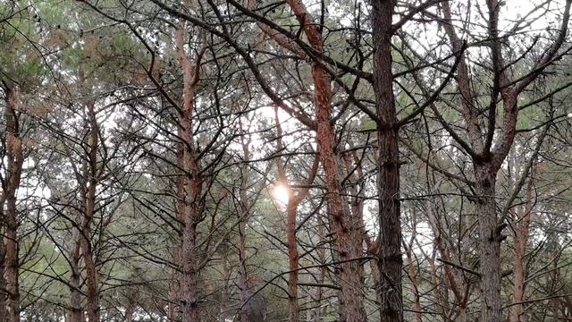 Красивые места Крыма: Генеральские пляжи, Белая скала, мыс Фиолент, карьер, Сырная скала смотреть онлайн