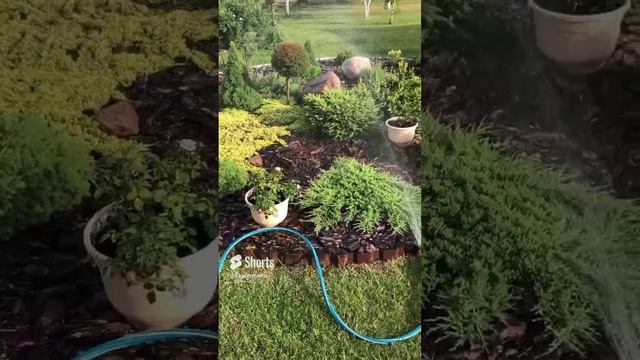 Мой автополив ?? смотреть онлайн