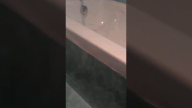 Ремонт квартир - Дизайн проект! 89058885755 Оренбург. смотреть онлайн