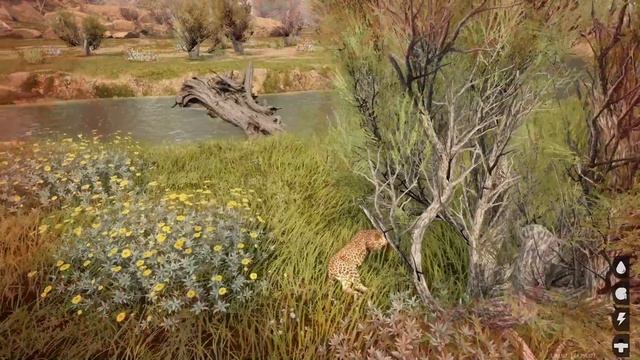 Animalia Survival - Live as a leopard in the wild смотреть онлайн
