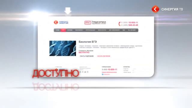 Университет "Синергия" смотреть онлайн