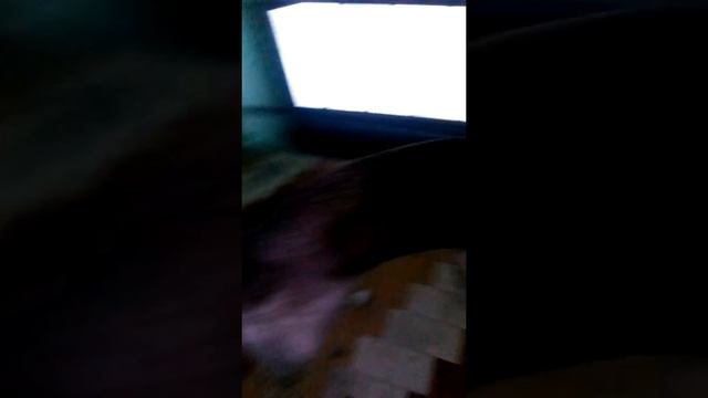 Тёмный коридор смотреть онлайн