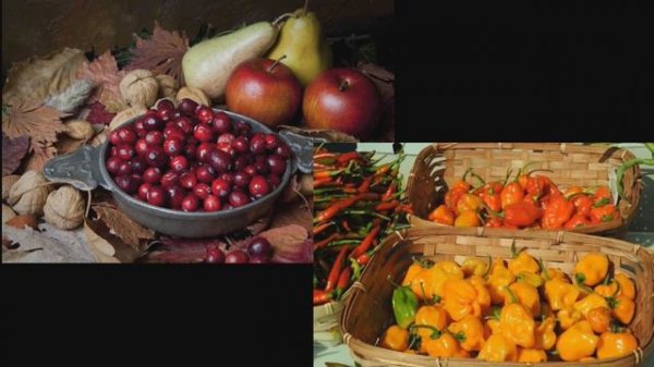 All my relations -- a traditional Lakota approach to health equity | Dr. Donald Warne | TEDxFargo