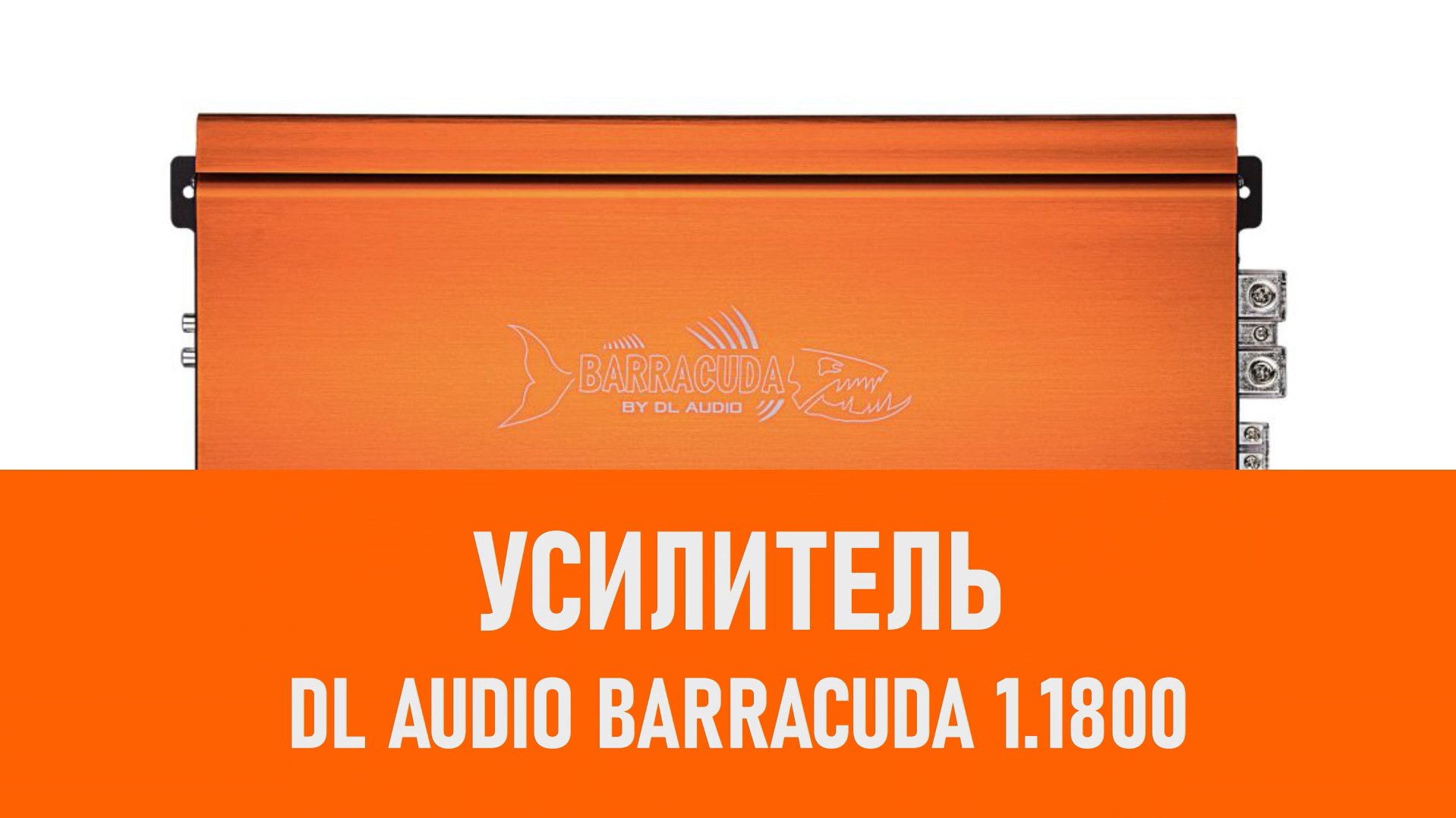 Распаковка усилителя DL Audio Barracuda 1.1800 смотреть онлайн