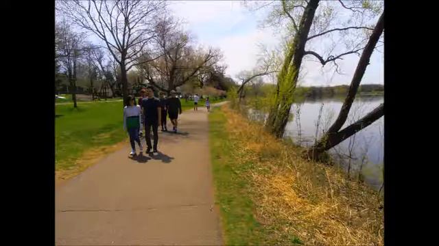 И даже пень в весенний день...