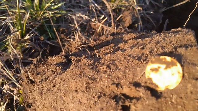 Жирная поселуха возле реки копаем дальше! смотреть онлайн