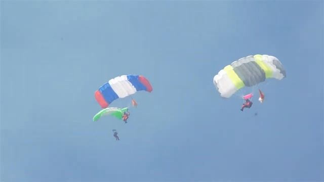 Лесные пожары возникают по вине человека от 22.05.2019