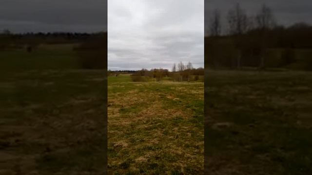 Озеро Боровно,Новгородская область,Окуловский район,деревня Горы,земельные участки 2я линия озера смотреть онлайн