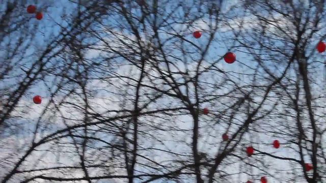 Красные воздушные шары в память о жертвах геноцида армян смотреть онлайн