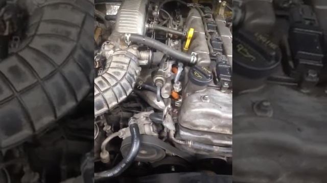 Двигатель J20a Suzuki Grand Vitara 2004 / Сузуки гранд витара замена ГРМ J20a смотреть онлайн