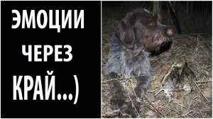 охота на вальдшнепа вестной 2021