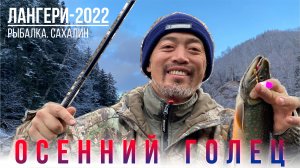 Осенний голец, р. Лангери 2022
