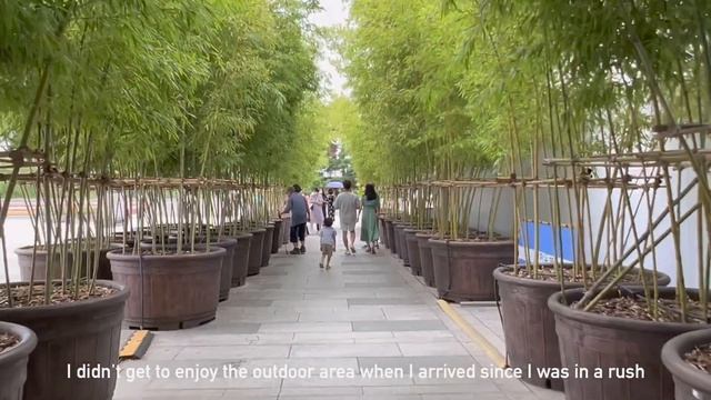 ?? seoul vlog | national museum, leeum art museum, seoul forest walk смотреть онлайн