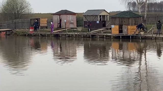 Зарыбление форели 200 кг смотреть онлайн