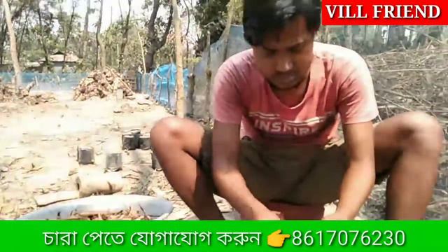 সেগুন গাছের চারা তৈরি // How to Grow Teak Tree From Roots // #teak_tree #villfriend смотреть онлайн