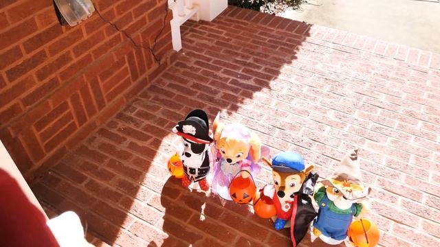Paw Patrol बच्चों के लिए हेलोवीन वीडियो! смотреть онлайн