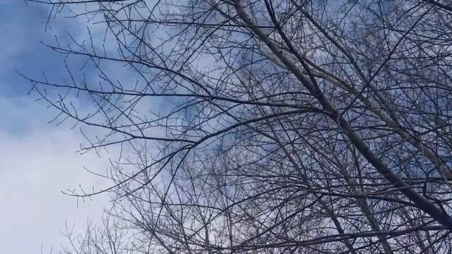 21 апреля народный праздник Родионов день. Народные приметы и традиции. Запреты дня. Именинники. смотреть онлайн