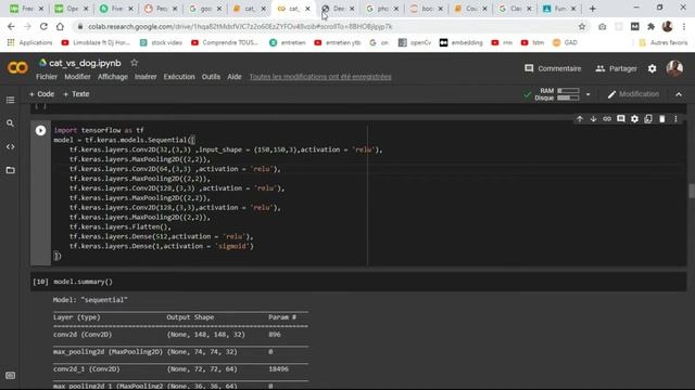 Classification d'image(vision par ordinateur) chien vs chat avec tensorflow et keras смотреть онлайн