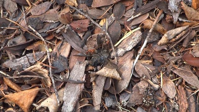 Я люблю работать, но ещё больше люблю ........ . Philosophical reflection on work and leisure. смотреть онлайн