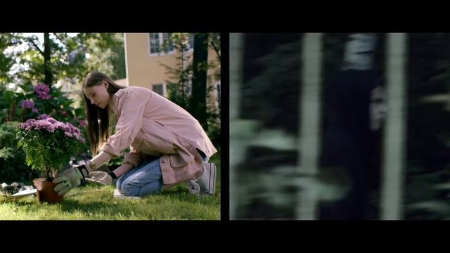 "Не зарывай талант в землю" смотреть онлайн