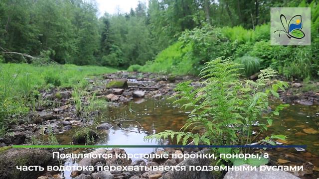 Экологический маршрут "Долина реки Рагуша" памятника природы "Река Рагуша" смотреть онлайн