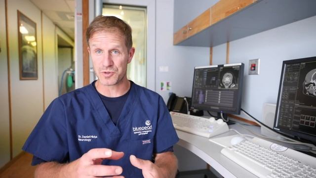 Neurology at BluePearl смотреть онлайн