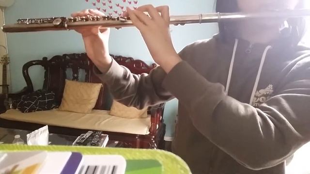 Katsugeki/Touken Ranbu: Hikari Tatsu Ame- Flute смотреть онлайн
