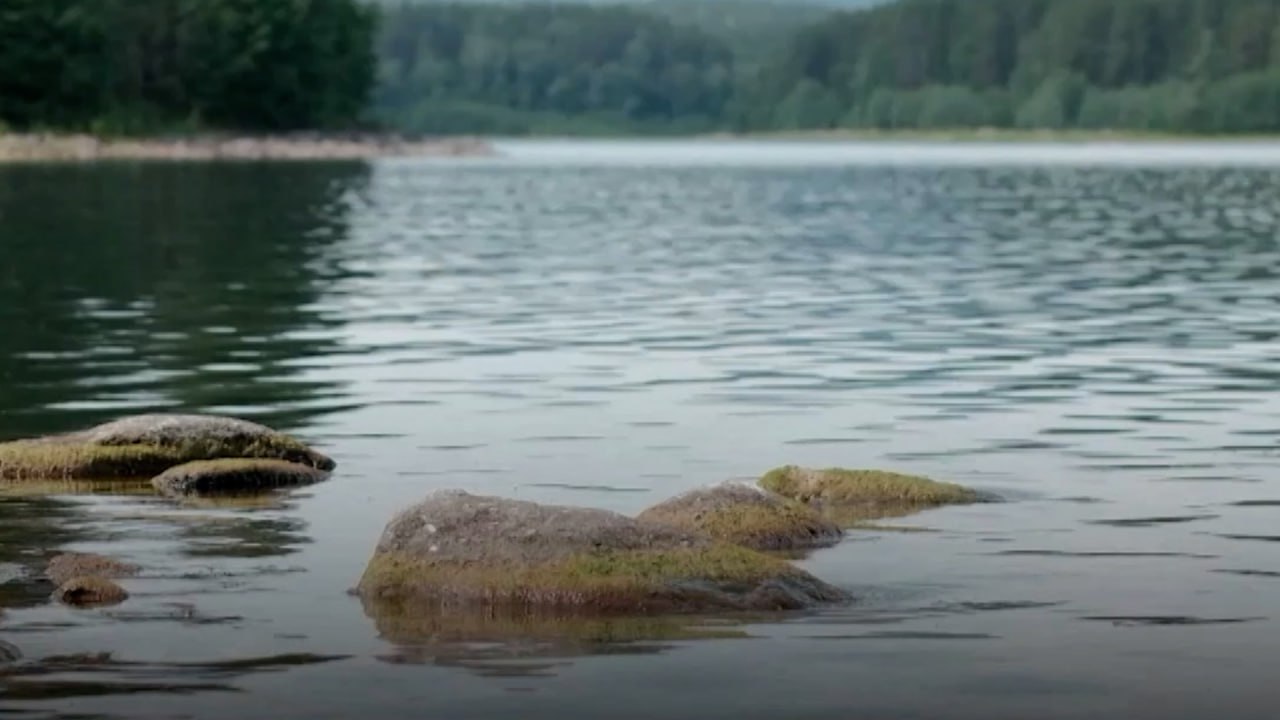 В Челябинске прошел экологический водный форум смотреть онлайн