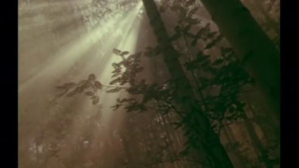 Le sorbier de l'Oural - Ural rowan tree - Уральская рябинушка - ENG & FR subtitle