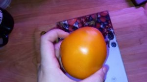 Томат Золотой Кенигсберг, мой фаворит уже много лет, очень урожайный и сладкий