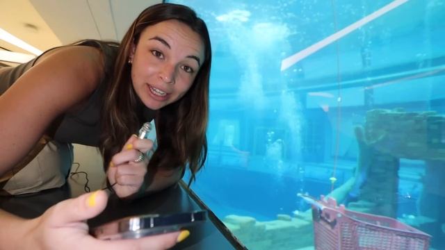 DIVING IN THE WORLD'S DEEPEST POOL!! смотреть онлайн