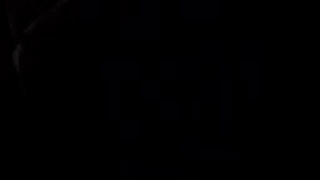 Встреча с колючим зверьком. Рядом с нами живёт семья ежей. ?