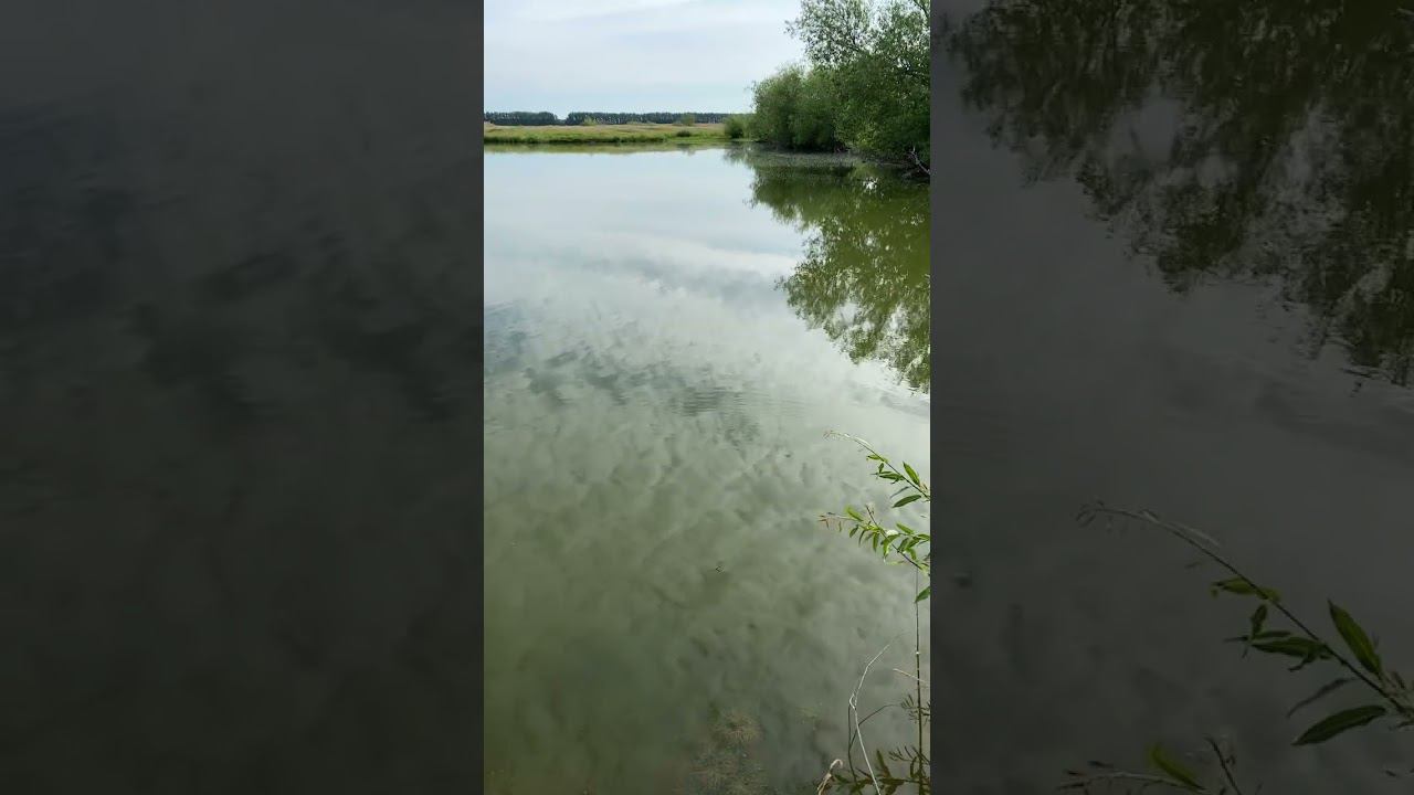 Ляпота смотреть онлайн