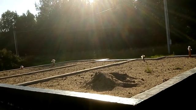 ТИСЭ. №31. Консервация фундамента ТИСЭ на зиму смотреть онлайн