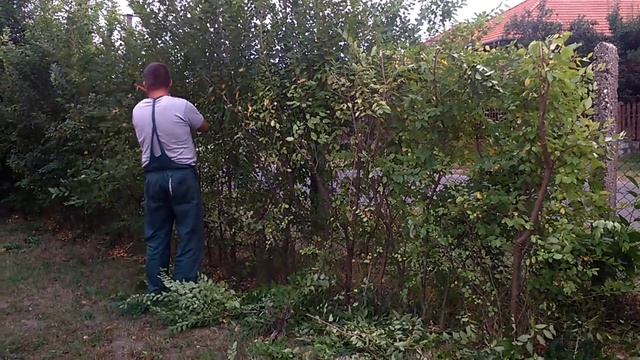 Stihl hsa 45 sövényvágó смотреть онлайн