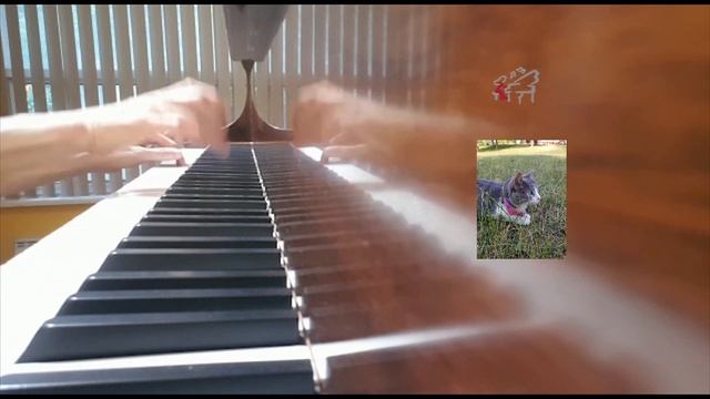 RCM Level 1 List C: Cranky Cat смотреть онлайн