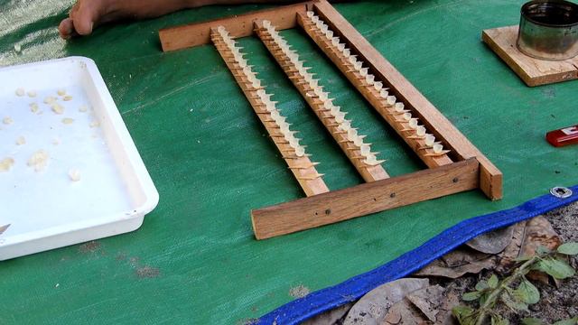 Queen rearing methods | Rarsing honey bee queens | Producing queen bees | Honey bees | Beekeeping смотреть онлайн