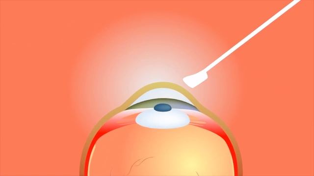 Строительные Призраки