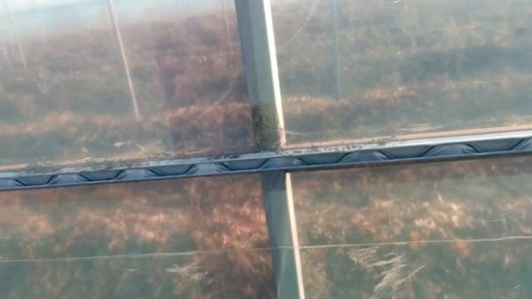 Крепление пленки на теплице зиг-загом