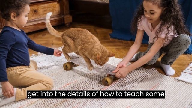 ? Expert Tips: How to Train Your Cat with Hilarious Tricks? смотреть онлайн