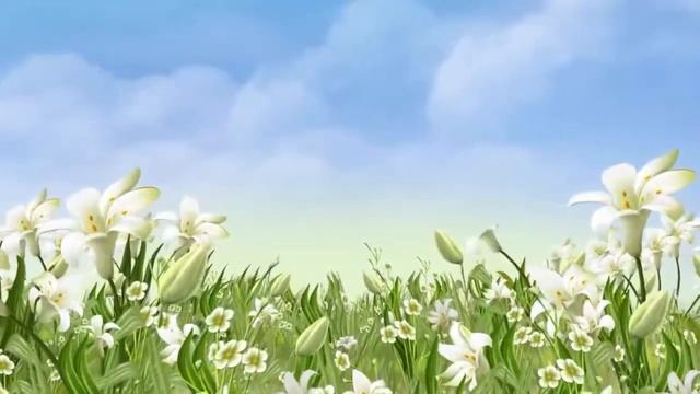 Цветы, лето смотреть онлайн