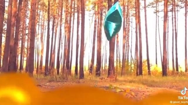 желейный Медведь Валера в лесу желтобрюх Сидел дома пока Паши не было он взял конфет улетел в космо