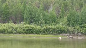 Река Новая Чара забайкальский край